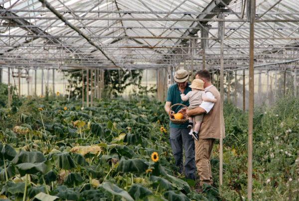 Lovingly Artisan Growing with Grace in Cumbria