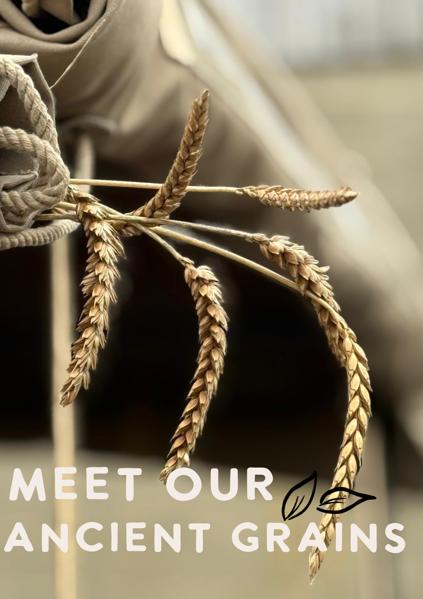 Lovingly Artisan Cumbria Kendal Lake District Emmer Einkorn Aidan Monks
